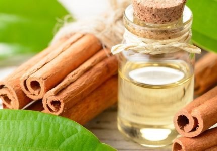 cinnamon-leaf-oil